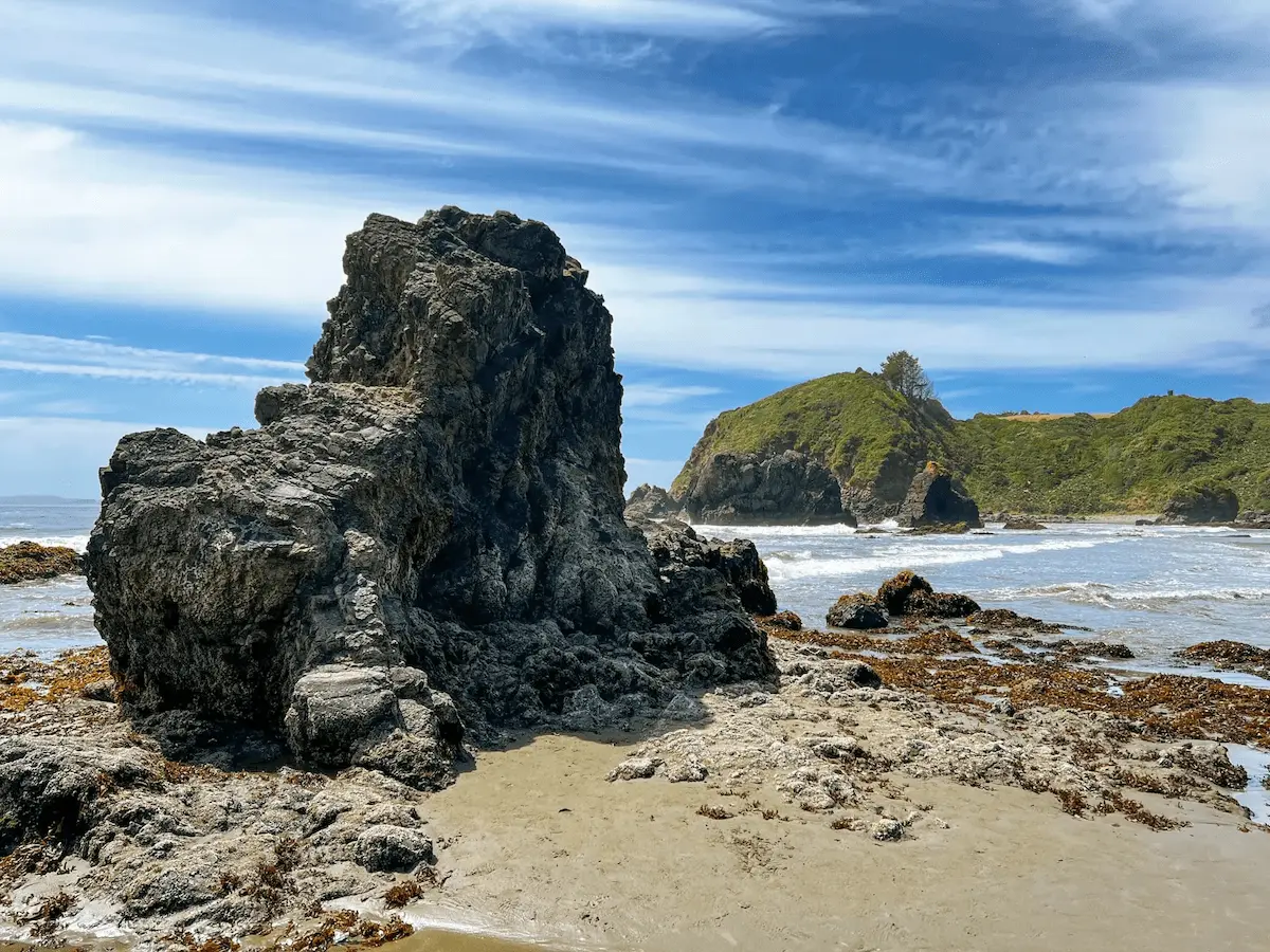 Día 2: Ancud a Puñihuil (Pinguineras de Puñihuil)